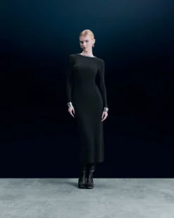 Long Sleeves Long Dress