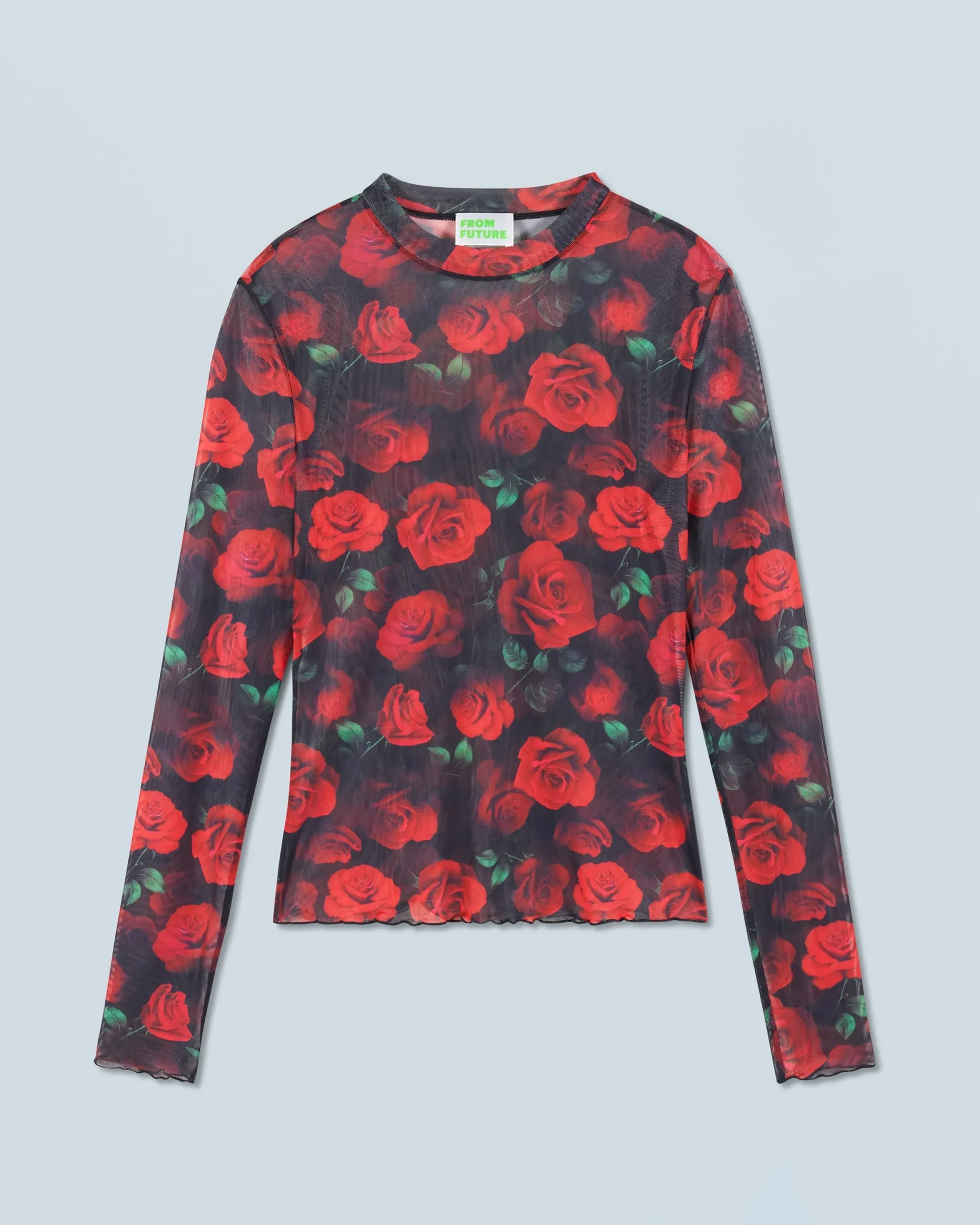 Mesh Long Sleeve Top
